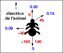 \includegraphics[]{pictures/mice/ant-direction.png}